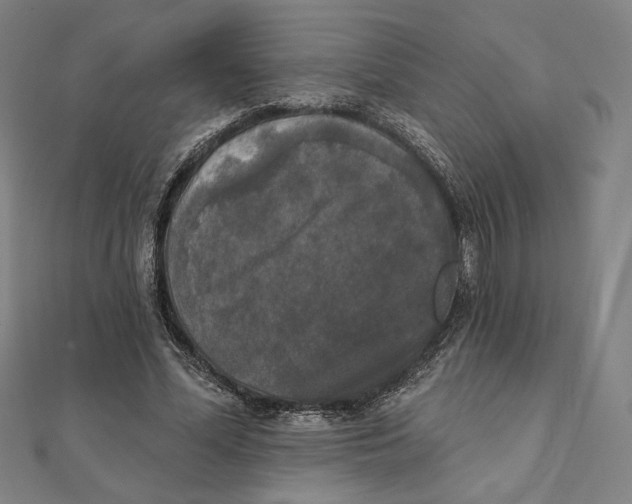 X0000111480588200908111203