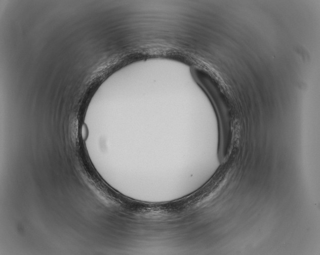 X0000111480589200908111203