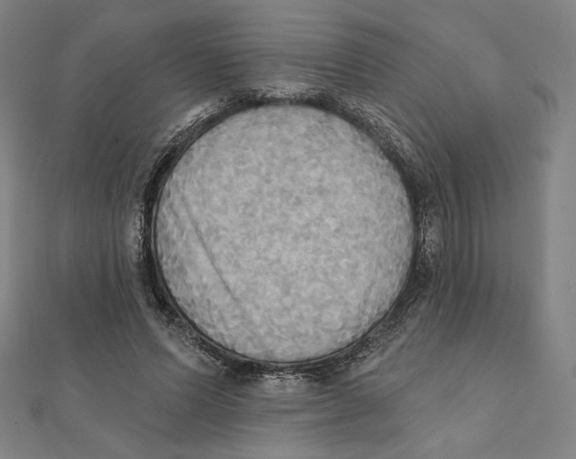 X0000111480591200908111203