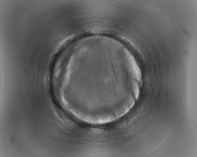 X0000111480592200908111203