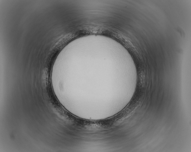 X0000111480594200908111203