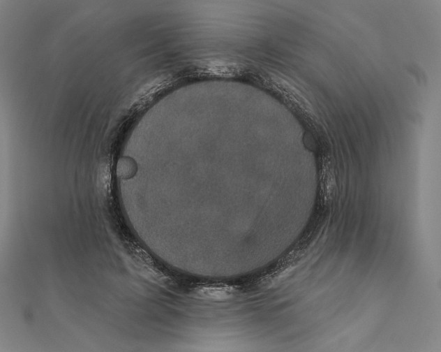 X0000111480595200908111203