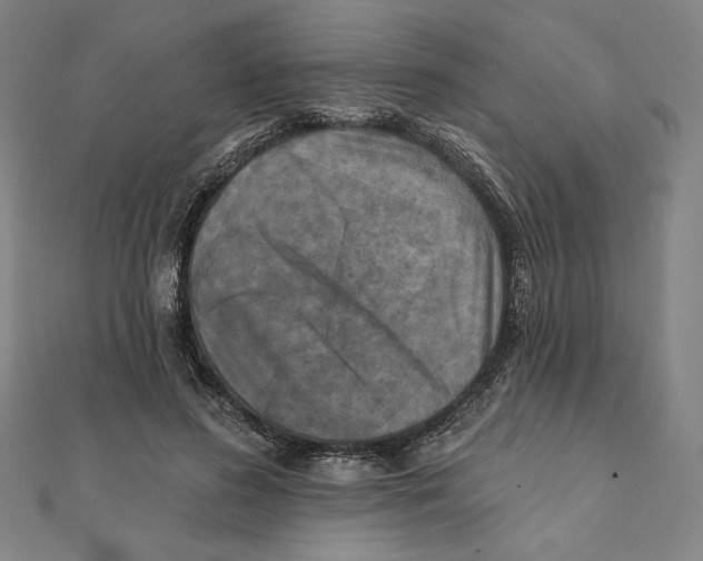X0000111480596200908111203