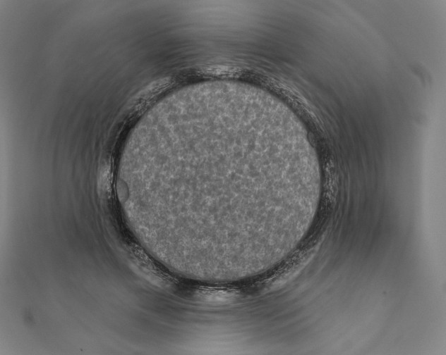 X0000111480597200908111203