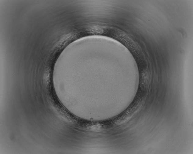 X0000111480600200908111203
