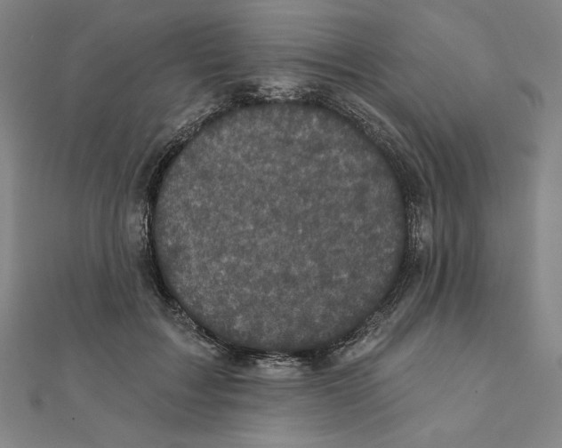 X0000111480603200908111203