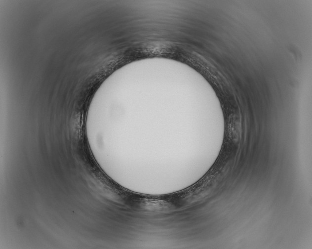 X0000111480605200908111203
