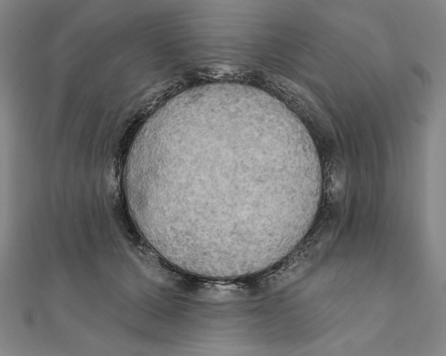 X0000111480607200908111203