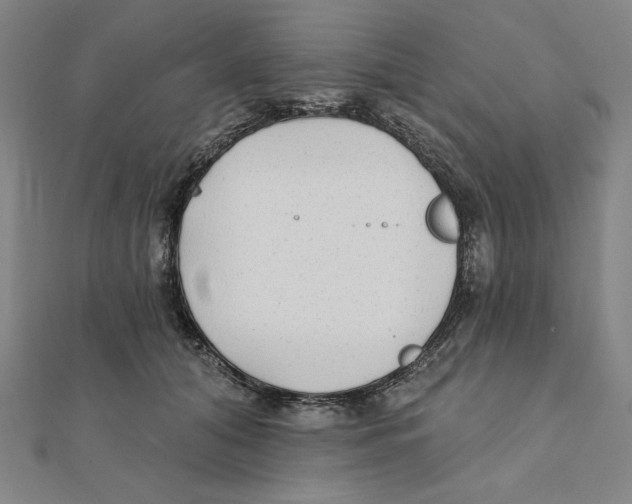 X0000111480608200908111203