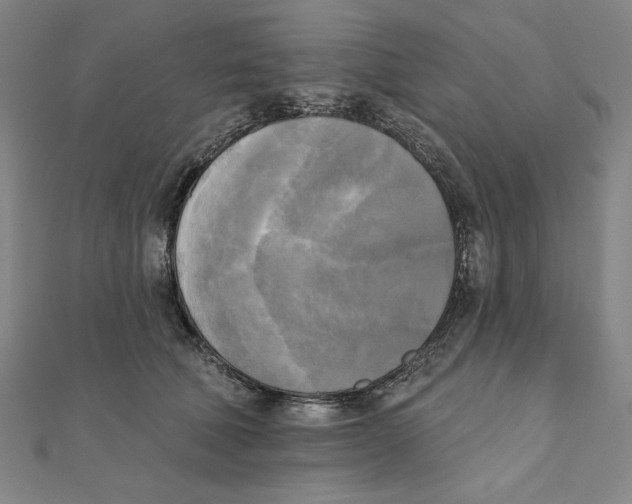 X0000111480610200908111203