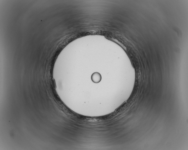 X0000111480611200908111203