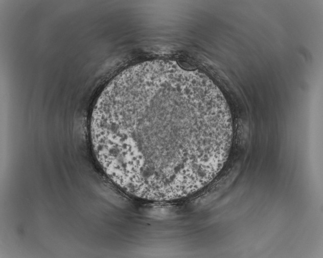 X0000111480612200908111203