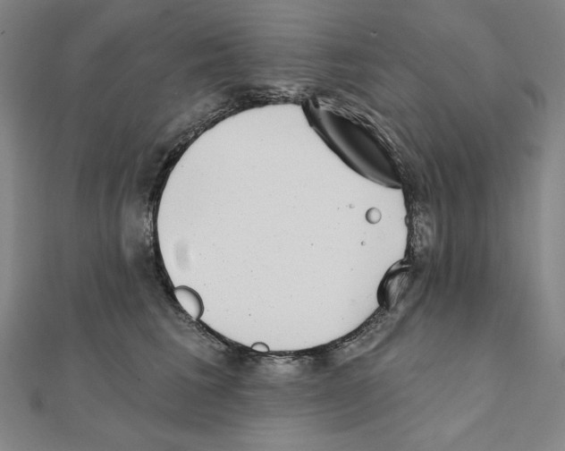 X0000111480613200908111203