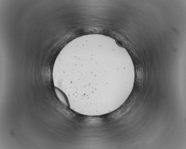 X0000111480617200908111203