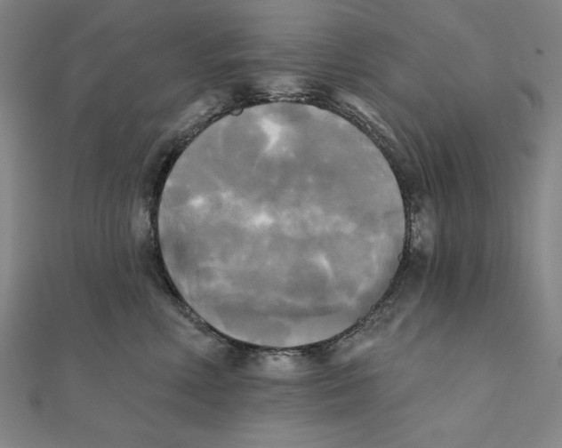 X0000111480618200908111203