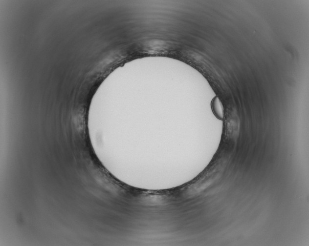 X0000111480620200908111203