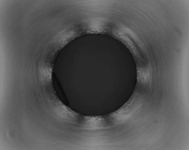 X0000111480621200908111203