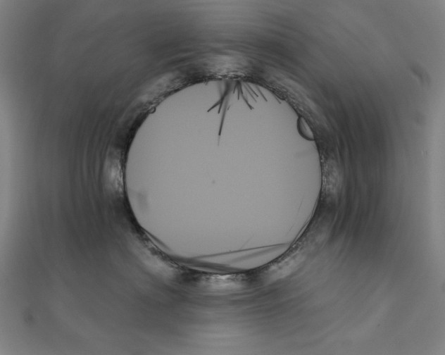 X0000111480622200908111203