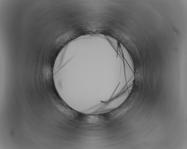 X0000111480623200908111203