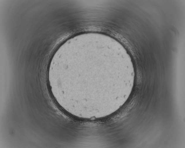 X0000111480625200908111202
