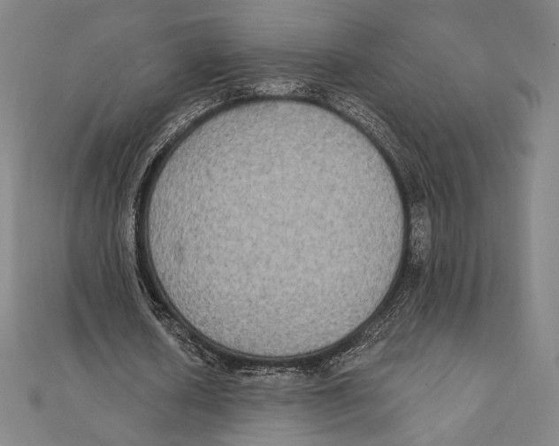 X0000111480626200908111202