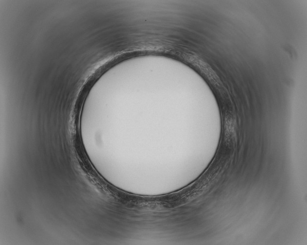 X0000111480628200908111202