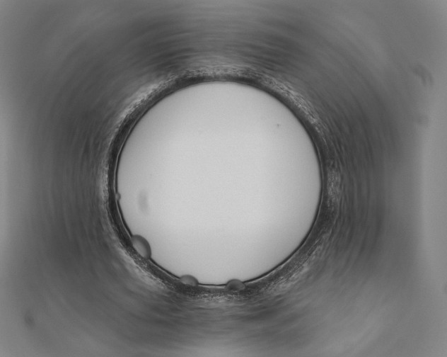 X0000111480629200908111202