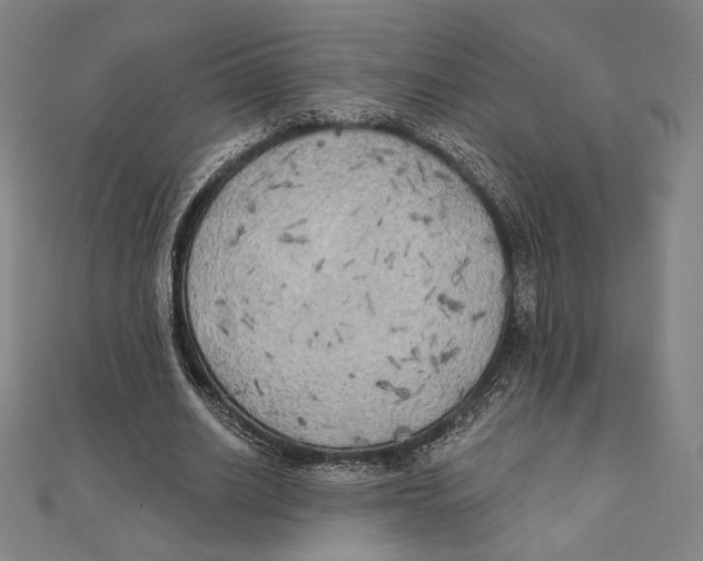 X0000111480630200908111202