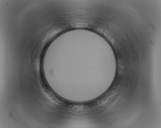 X0000111480631200908111202
