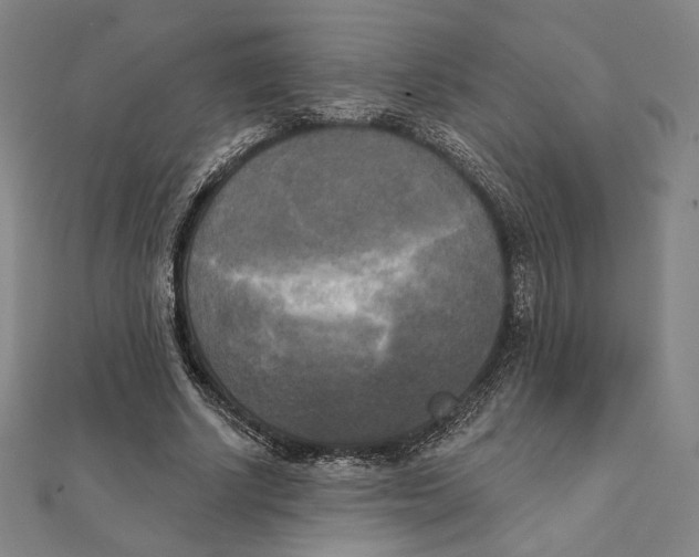 X0000111480634200908111202