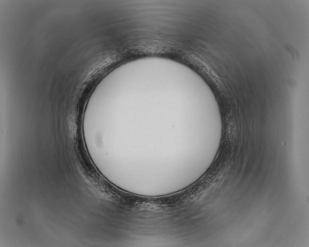 X0000111480635200908111202
