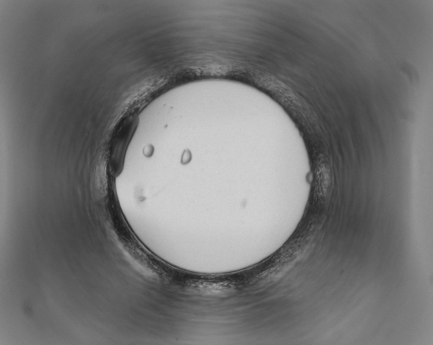 X0000111480638200908111202