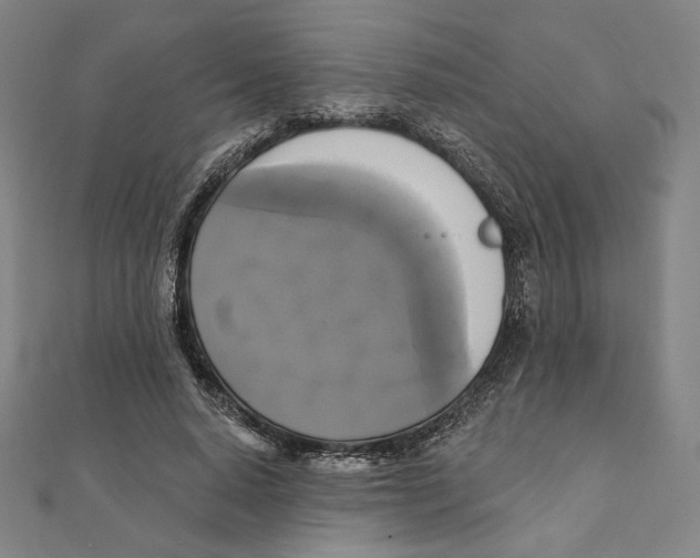 X0000111480640200908111202