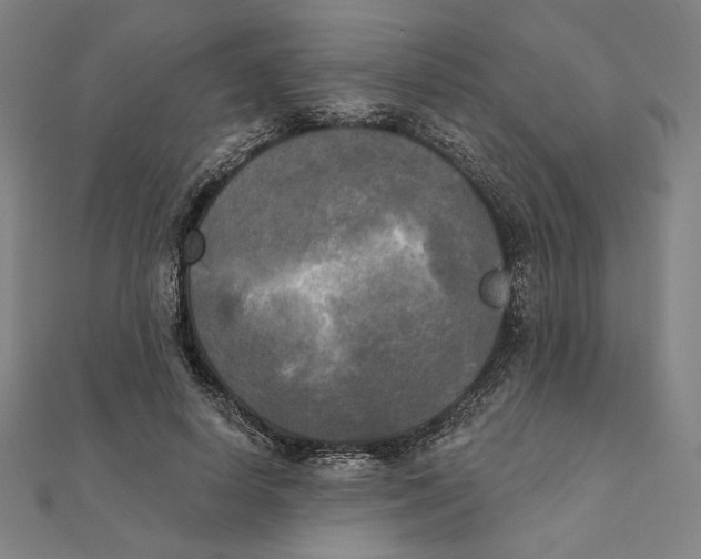 X0000111480642200908111202