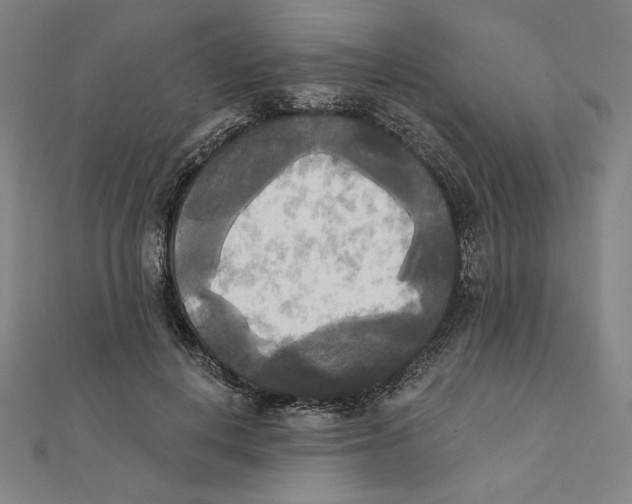 X0000111480648200908111202