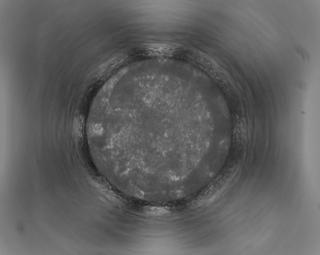 X0000111480649200908111202