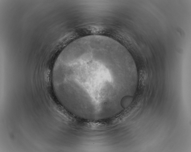 X0000111480650200908111202