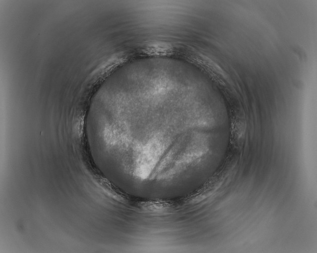X0000111480652200908111202