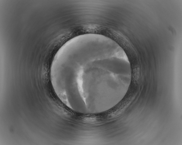 X0000111480653200908111202