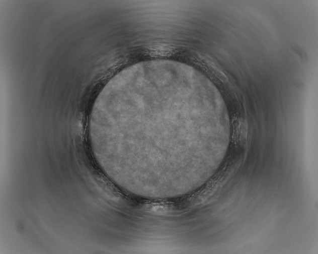X0000111480655200908111203