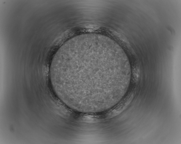 X0000111480657200908111203