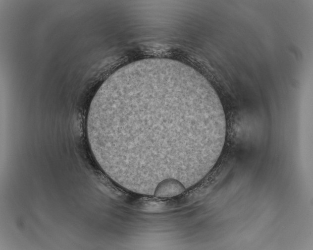 X0000111480658200908111203