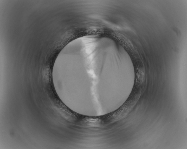 X0000111480659200908111203