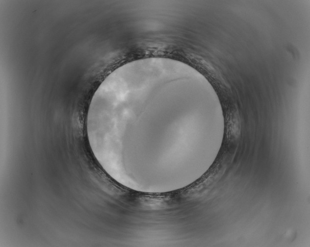 X0000111480661200908111203