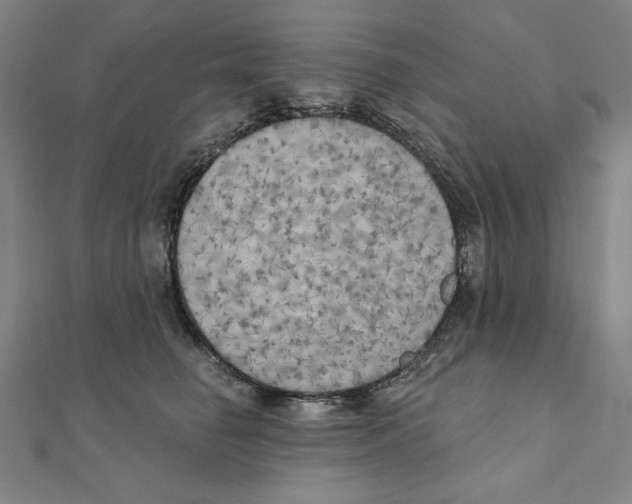 X0000111480662200908111203