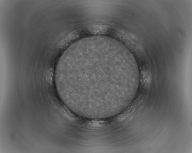 X0000111480664200908111203