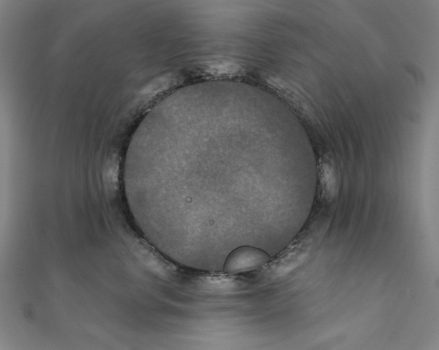 X0000111480668200908111203