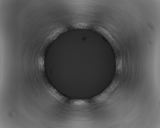 X0000111480669200908111203