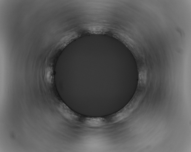 X0000111480671200908111203