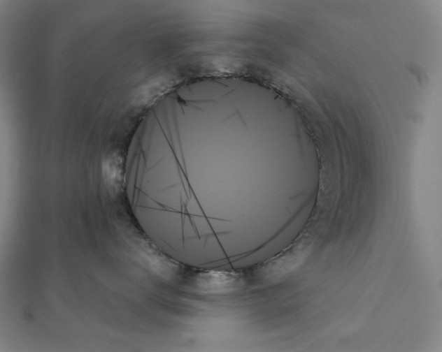 X0000111480672200908111203